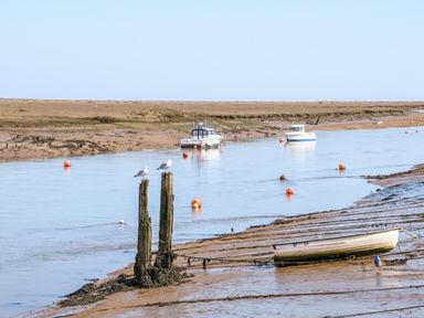 A river with several boats and wooden posts with birds on them at Sunnyside in Wells-Next-The-Sea