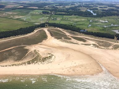 An aerial view of a sandy beach with scattered people near green fields and a forested area at Sunnyside in Wells-Next-The-Sea