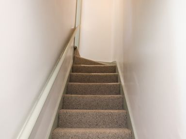 A carpeted staircase with a handrail on the left side in a narrow hallway at Holida Hoose in Belford