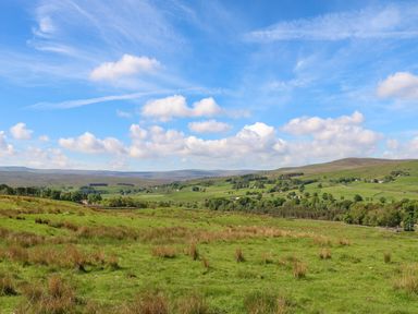 A grassy field with scattered bushes and distant hills under a partly cloudy sky at 1 The Stables in Alston