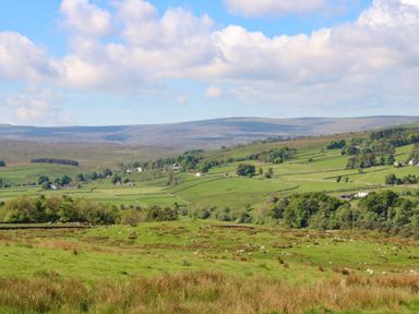 A rural landscape with green fields stone walls and scattered trees under a partly cloudy sky at 1 The Stables in Alston