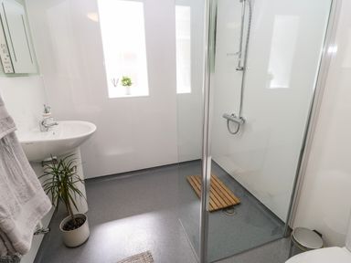 A bathroom with a sink a potted plant a glass shower enclosure and a window at 1 The Stables in Alston