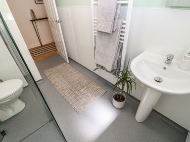 A bathroom with a toilet a sink a towel rack with towels a small plant and a rug on the floor at 1 The Stables in Alston