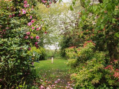 A garden path with green grass surrounded by flowering bushes and trees at The Garden Lodge in Upton Cressett near Bridgnorth