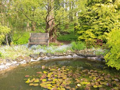 A garden with a wooden bench near a tree and a pond with lily pads at The Garden Lodge in Upton Cressett near Bridgnorth