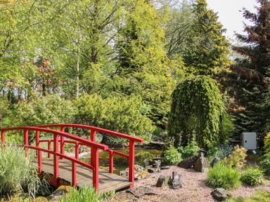 A garden with a red wooden footbridge over a small pond surrounded by trees and shrubs at The Garden Lodge in Upton Cressett near Bridgnorth
