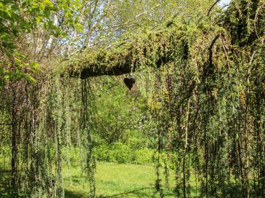 A garden with hanging branches and greenery with a heart decoration at The Garden Lodge in Upton Cressett near Bridgnorth