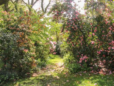 A garden path with green grass and flowering bushes with pink and white flowers at The Garden Lodge in Upton Cressett near Bridgnorth