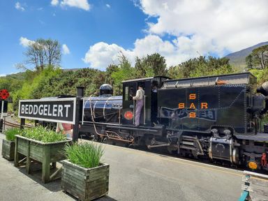 A steam train stopped at a platform with a Beddgelert station sign and surrounding greenery at Swn yr Afon in Beddgelert