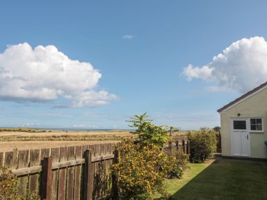 A garden with grass and bushes next to a wooden fence and a cream building under a blue sky at Island View Cottage in High Hauxley near Amble