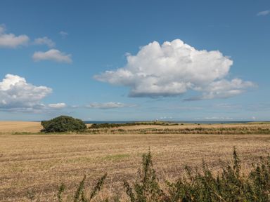 A rural field with bushes and a clear sky with clouds at Island View Cottage in High Hauxley near Amble