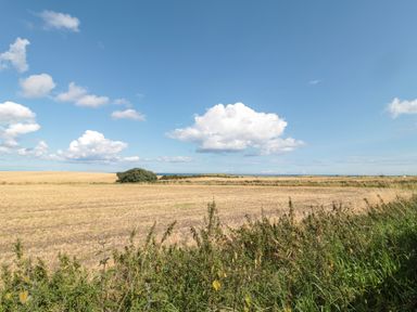 A field with dry grass and green bushes under a blue sky with clouds at Island View Cottage in High Hauxley near Amble