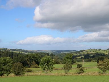 A rural landscape with green fields and scattered trees under a cloudy sky at The Forge in Allendale