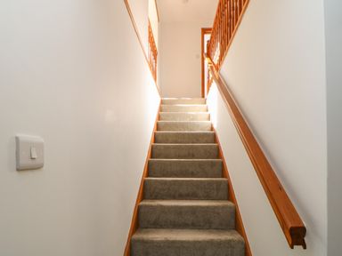 A carpeted staircase with wooden handrails and a light switch on the wall at The Forge in Allendale