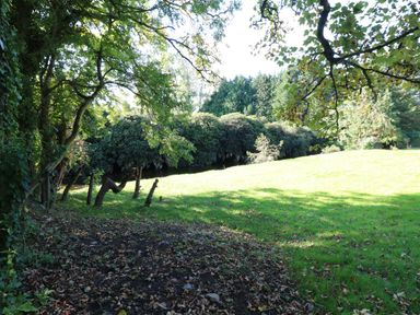 A grassy garden with trees and bushes surrounding the area at Carleys Bridge House Carleys Bridge near Enniscorthy County Wexford
