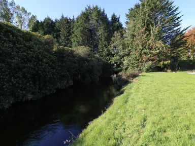 A grassy riverbank with trees alongside a calm river at Carley's Bridge House in Carley's Bridge near Enniscorthy County Wexford