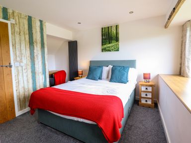 A bedroom with a bed with red blanket and blue pillows and a bedside table with a lamp at Y Granar Llanrhaeadr-Ym-Mochnant