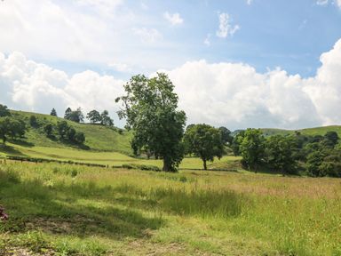 A grassy field with scattered trees and hills under a partly cloudy sky at Y Stabl in Llanrhaeadr-Ym-Mochnant
