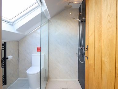 A bathroom with a toilet under a skylight and a walk-in shower separated by a glass panel at Y Stabl The Stable in Llanrhaeadr-Ym-Mochnant