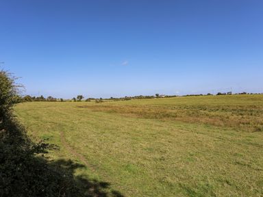 A grassy field with a clear blue sky and sparse trees in the distance at Ffrwd in Rhosneigr