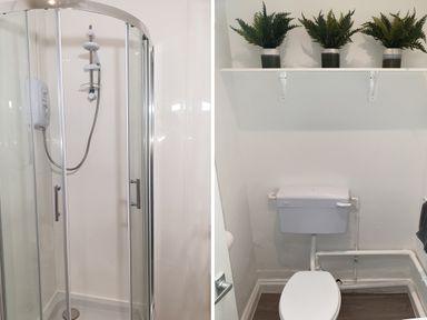 A bathroom with a glass shower enclosure and a white toilet with three potted plants on a shelf above at Sunnymeade in Buxton Norfolk