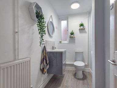 A bathroom with a toilet sink cabinet mirror and plants on shelves at Sunnymeade in Buxton Norfolk