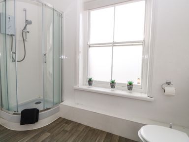 A bathroom with a corner shower, a window with three small plants on the sill, a toilet, and a toilet paper holder at Sunnymeade in Buxton Norfolk