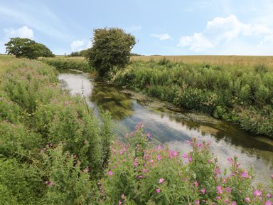 A small river with flowering plants and bushes on its banks in a rural field at Plough Cottage in Little Kelk near Bridlington