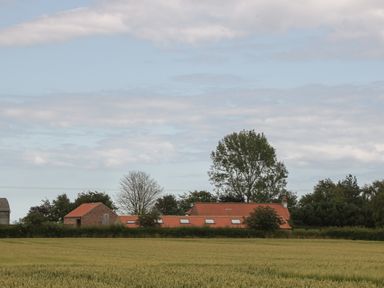 A field with a house with red roofs and trees in the background at Plough Cottage in Little Kelk near Bridlington