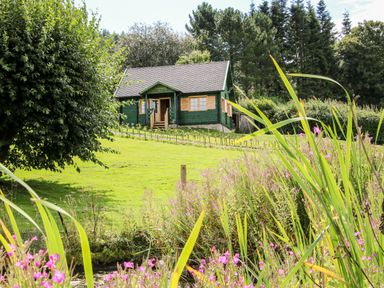 A green wooden house on a grassy hill with trees and flowers in the foreground at Callow Fold in Dinchope near Craven Arms