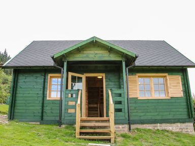 A green wooden cabin with a black shingled roof and wooden stairs leading to an open front door at Callow Fold in Dinchope near Craven Arms