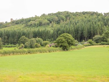 A green field with scattered trees and a dense forest on a hillside at Callow Fold in Dinchope near Craven Arms