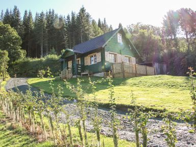 A green wooden cabin with a gravel path and small trees in front surrounded by tall trees at Callow Fold in Dinchope near Craven Arms