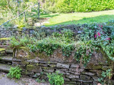 A stone retaining wall with moss and plants in a garden with steps and a handrail at Field Head House in Graythwaite near Hawkshead