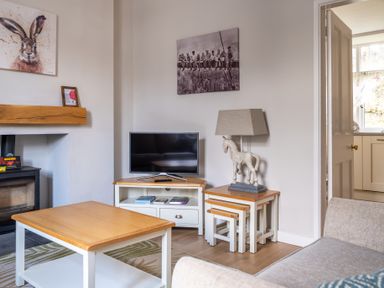 A living room with wooden tables a television and a lamp shaped like a horse at Briar in Graythwaite near Hawkshead