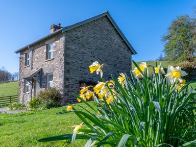 A stone house with daffodils in the foreground and a grassy field at Eel House Cottage in Graythwaite Estate near Hawkshead