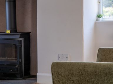 A corner of a room with a black wood stove on the left green upholstery of a chair and a window with a small plant at Eel House Cottage Graythwaite Estate near Hawkshead