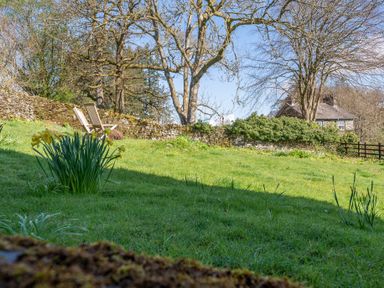 A garden with daffodils wooden chairs a stone wall and trees near Eel House Cottage Graythwaite Estate near Hawkshead