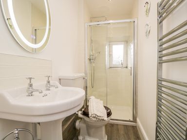 A bathroom with a sink a toilet a towel warmer and a glass shower enclosure at Pottergill in Windermere