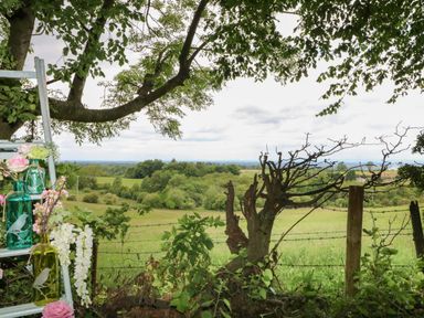 A countryside landscape with green fields and trees viewed through a fence with a flowering plant and decorative bottles on a ladder at High Rigg Shepherd's Hideaway in Brampton Cumbria
