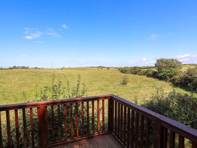 A wooden balcony overlooking a grassy field with bushes and trees at Ffrwd Lodge in Rhosneigr