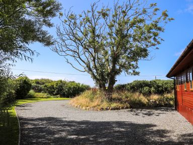 A gravel driveway with a tree and bushes next to a wooden building at Ffrwd Lodge in Rhosneigr