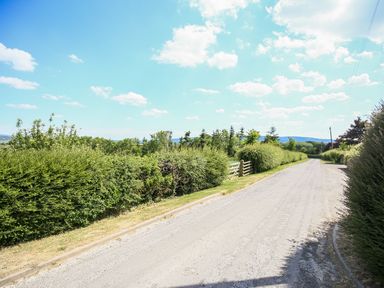 A rural road lined with green hedges under a blue sky with scattered clouds at Norton Cottage in Craven Arms