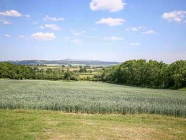 A rural landscape with green fields trees and hills under a blue sky at Norton Cottage in Craven Arms