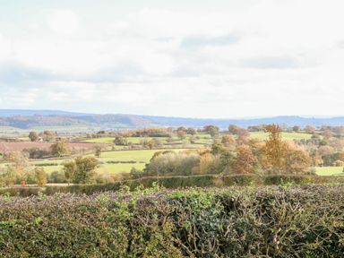A countryside landscape with fields trees and hedges at Norton Cottage in Craven Arms
