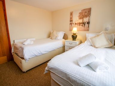 A bedroom with two single beds a nightstand with a lamp and wall art at Norton Cottage in Craven Arms