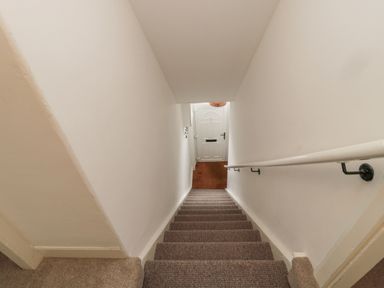 A stairway with carpet leading down to a white front door at Lavender Cottage in Glanton