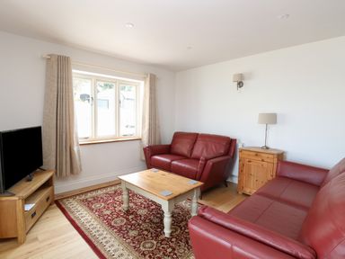 A living room with red leather sofas a wooden coffee table a television on a wooden stand and a patterned rug at Waveney View Cottage in Burgh Castle