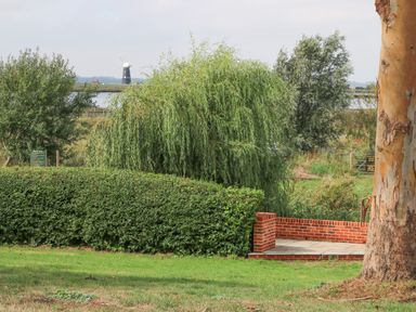 A garden with trees shrubs and a brick patio with a windmill in the background at Waveney View Cottage in Burgh Castle