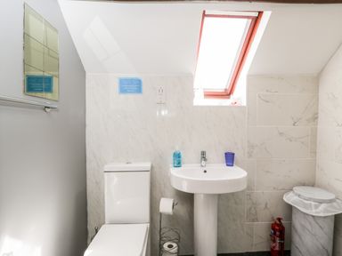 A bathroom with a toilet a pedestal sink a mirror and a skylight window at Lawn Farm Cottage Churcham near Gloucester